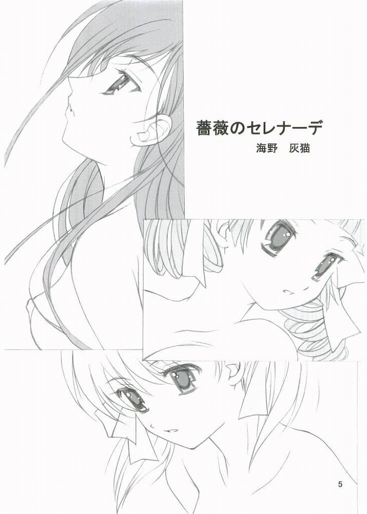(C67) [灰猫倶楽部 (童子, 海野灰猫)] ROSE SWEETS 6 (マリア様がみてる)