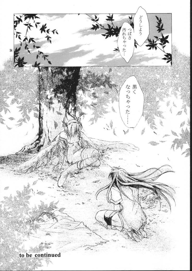 (C61) [床子屋 (HEIZO、鬼頭えん)] side:NINA 竜の眼の風景～second (ブレスオブファイア)