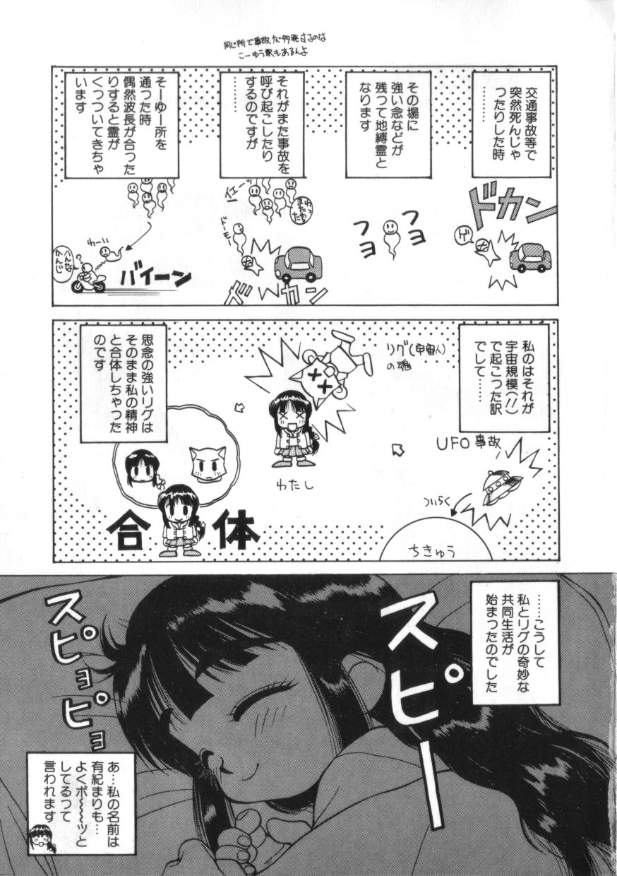 [綺羅星] 拳王 MARIMO