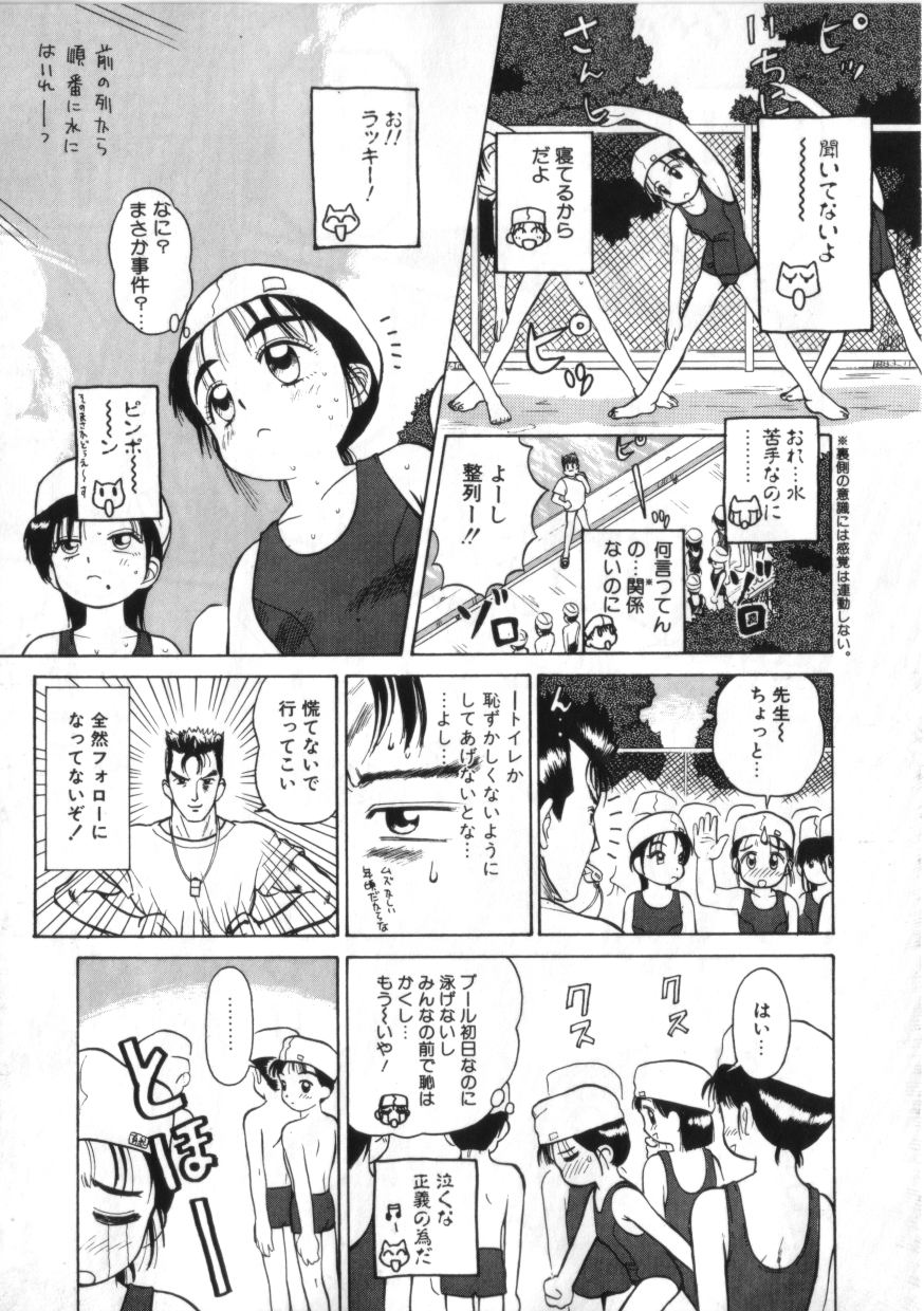 [綺羅星] 拳王 MARIMO
