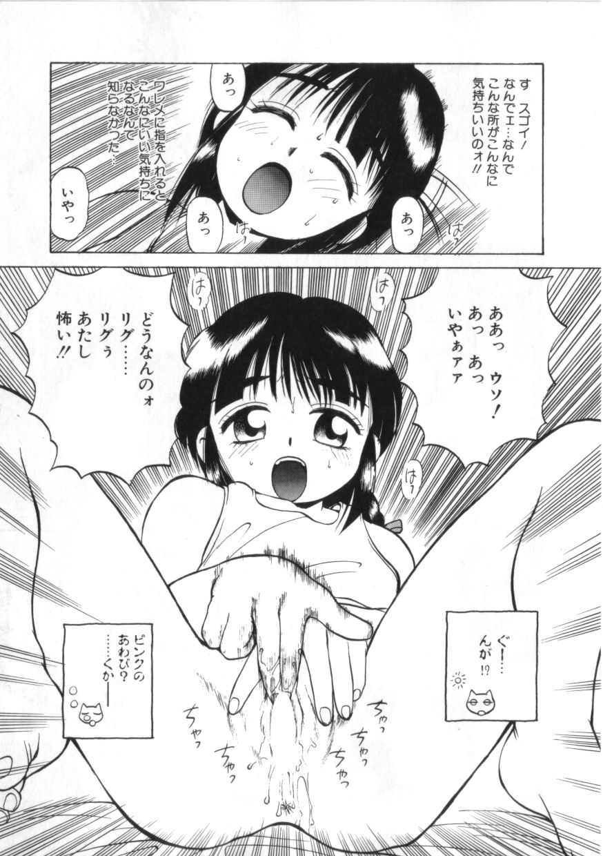 [綺羅星] 拳王 MARIMO