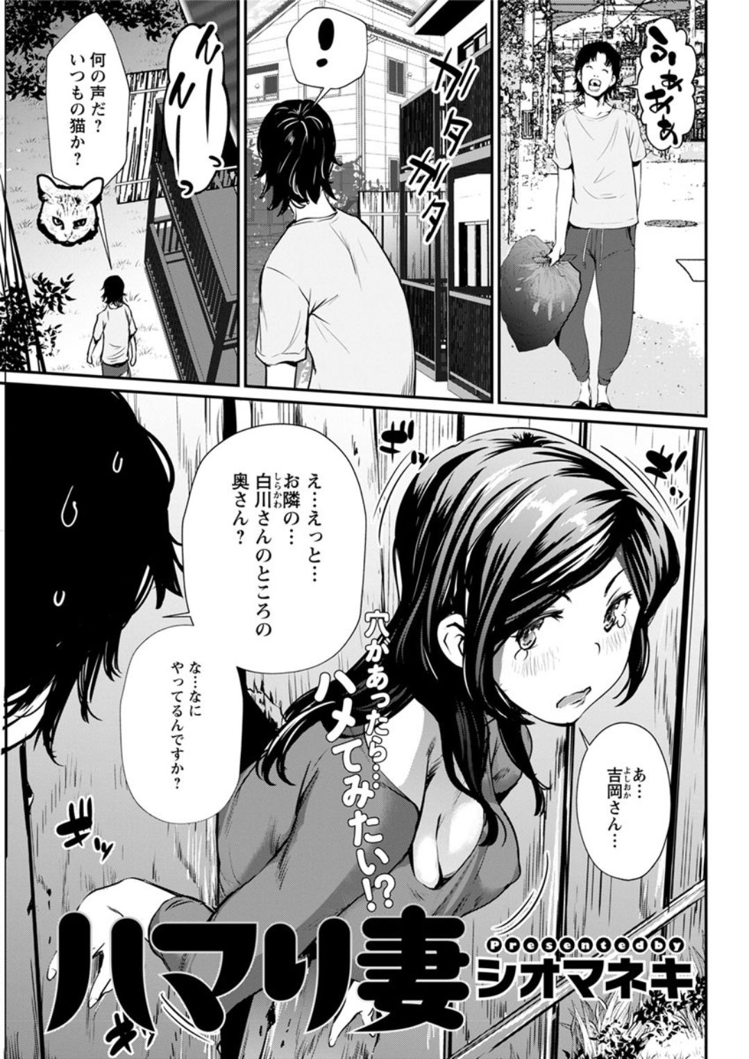 アクションピザッツDX 2019年1月号 [DL版]