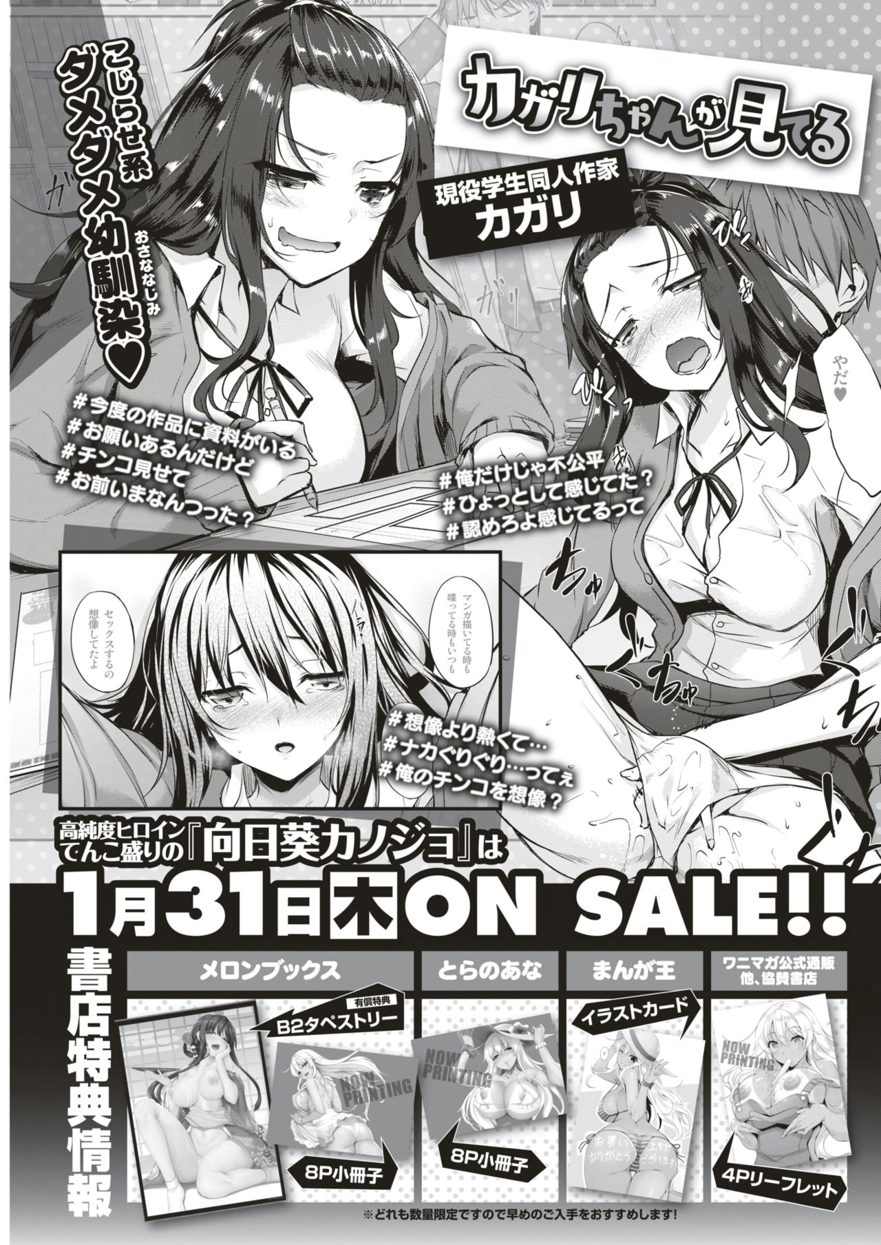 COMIC 失楽天 2019年2月号 [DL版]