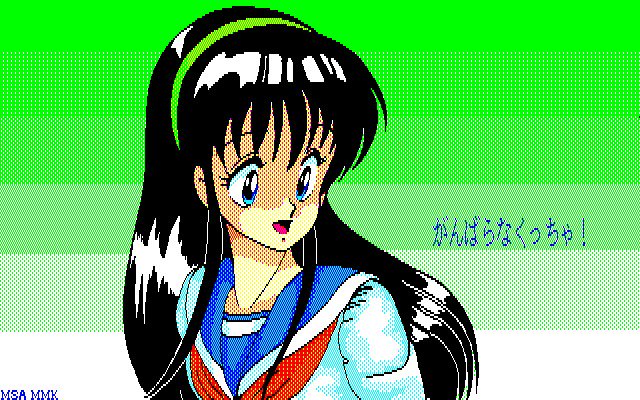 MMK PC8801DoujinCGセット MMK PC8801DoujinCGセット