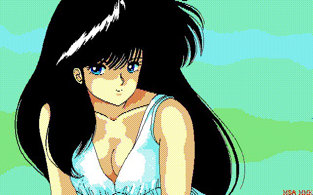 MMK PC8801DoujinCGセット MMK PC8801DoujinCGセット