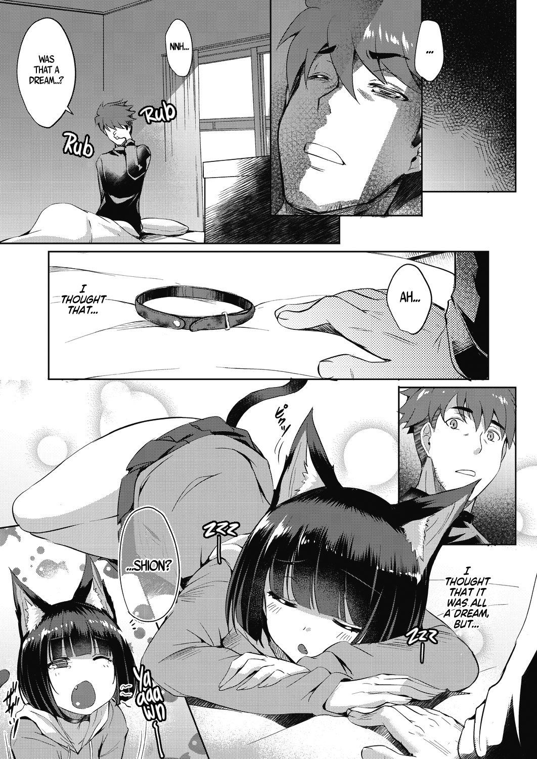 しおんの王|シオンの花