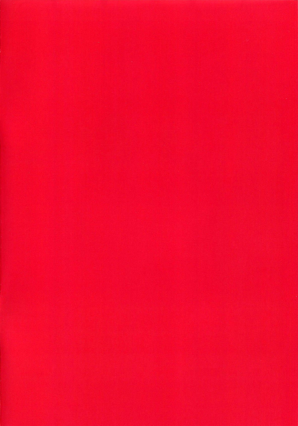 ビッチプリンツ提督oネトチェ！