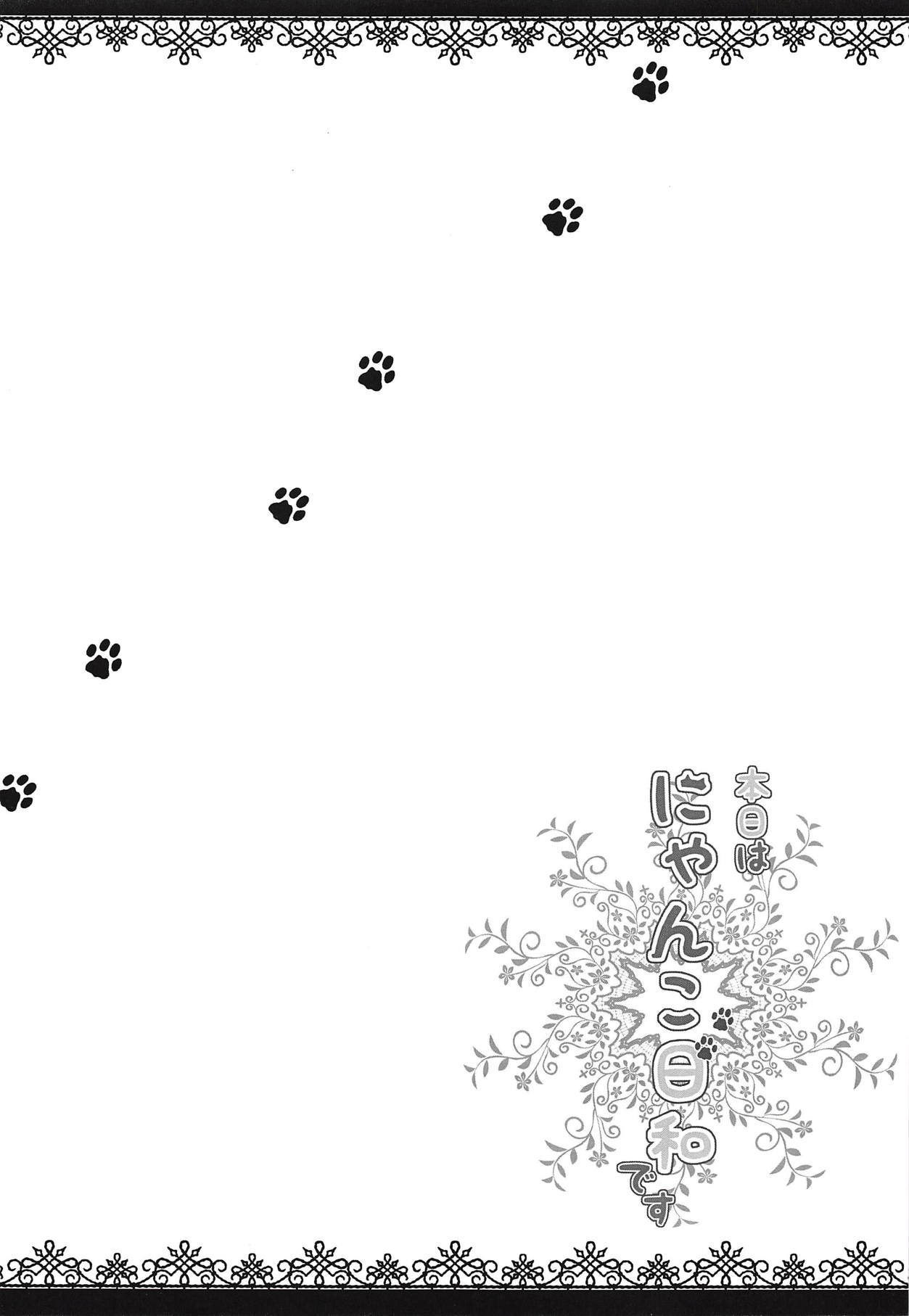 本術はにゃんこびよりです