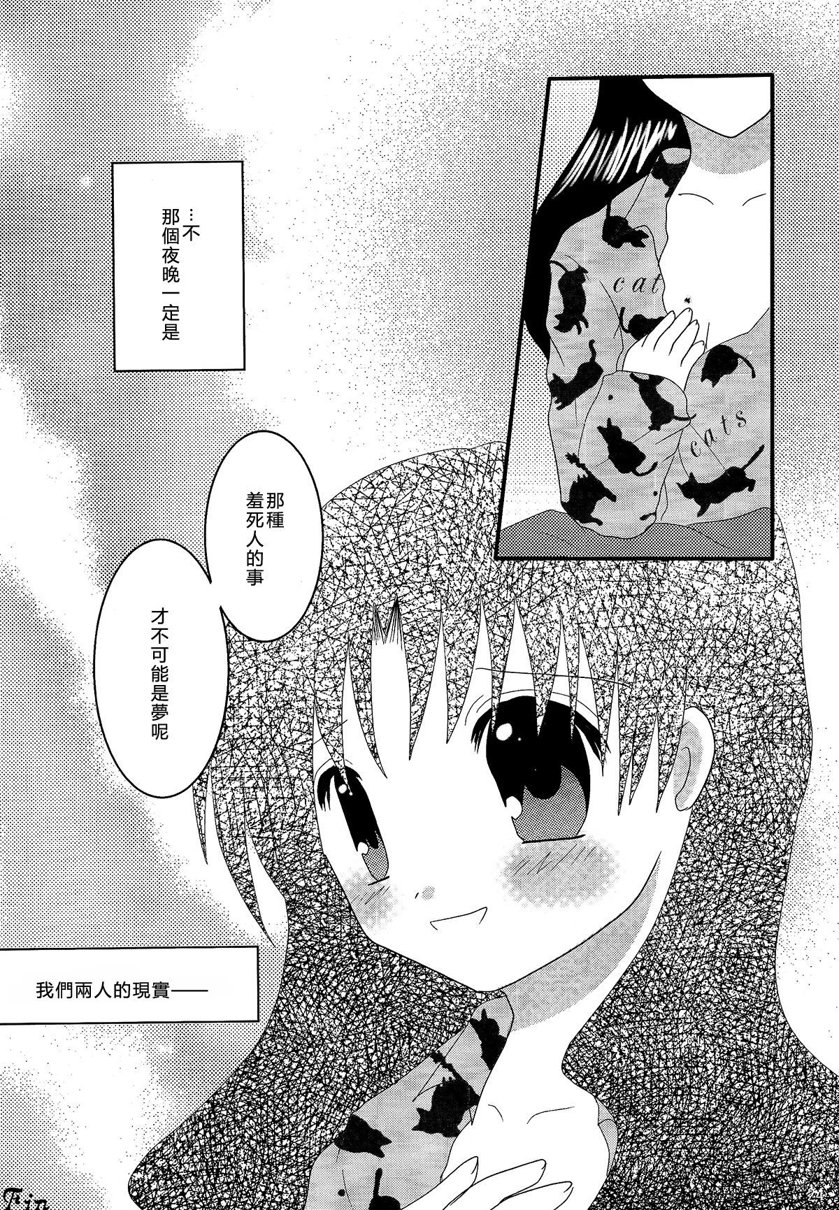 源氏一谷漢化