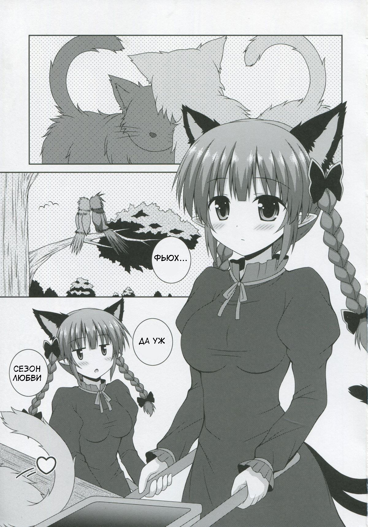 猫の動き