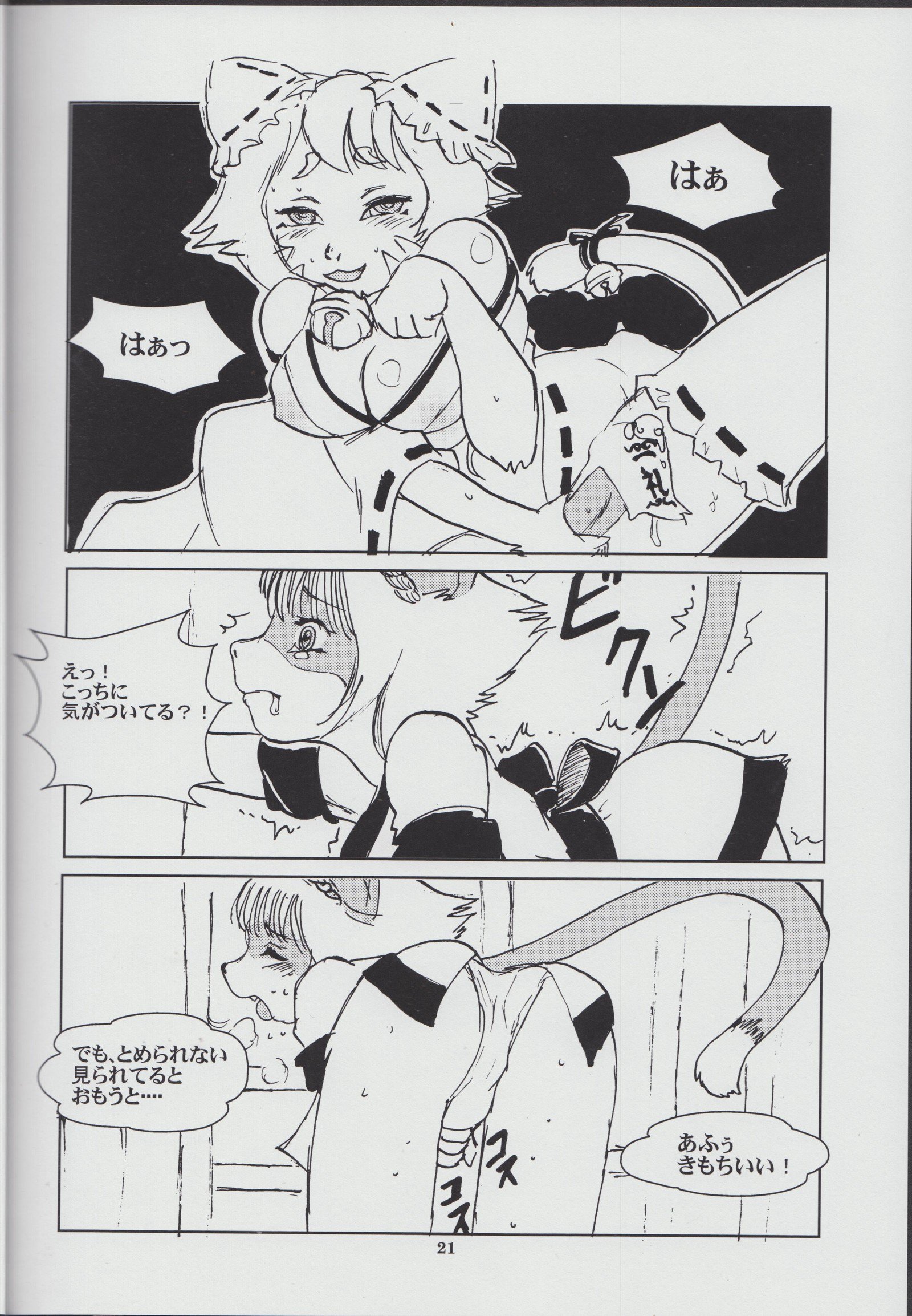 けものの翔二十二-獣の書23
