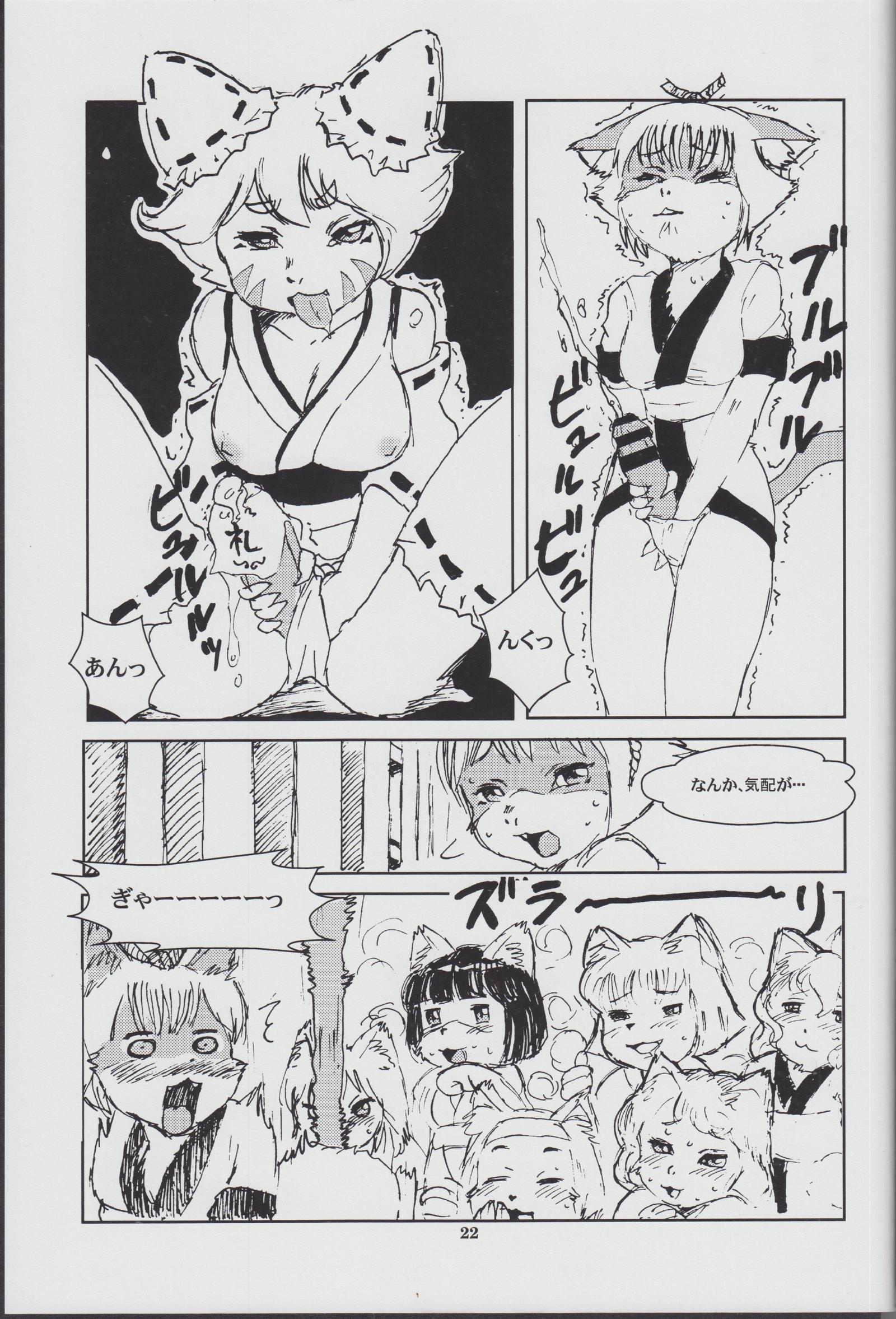 けものの翔二十二-獣の書23