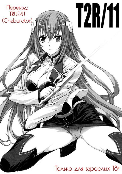 T2R11 T2R11