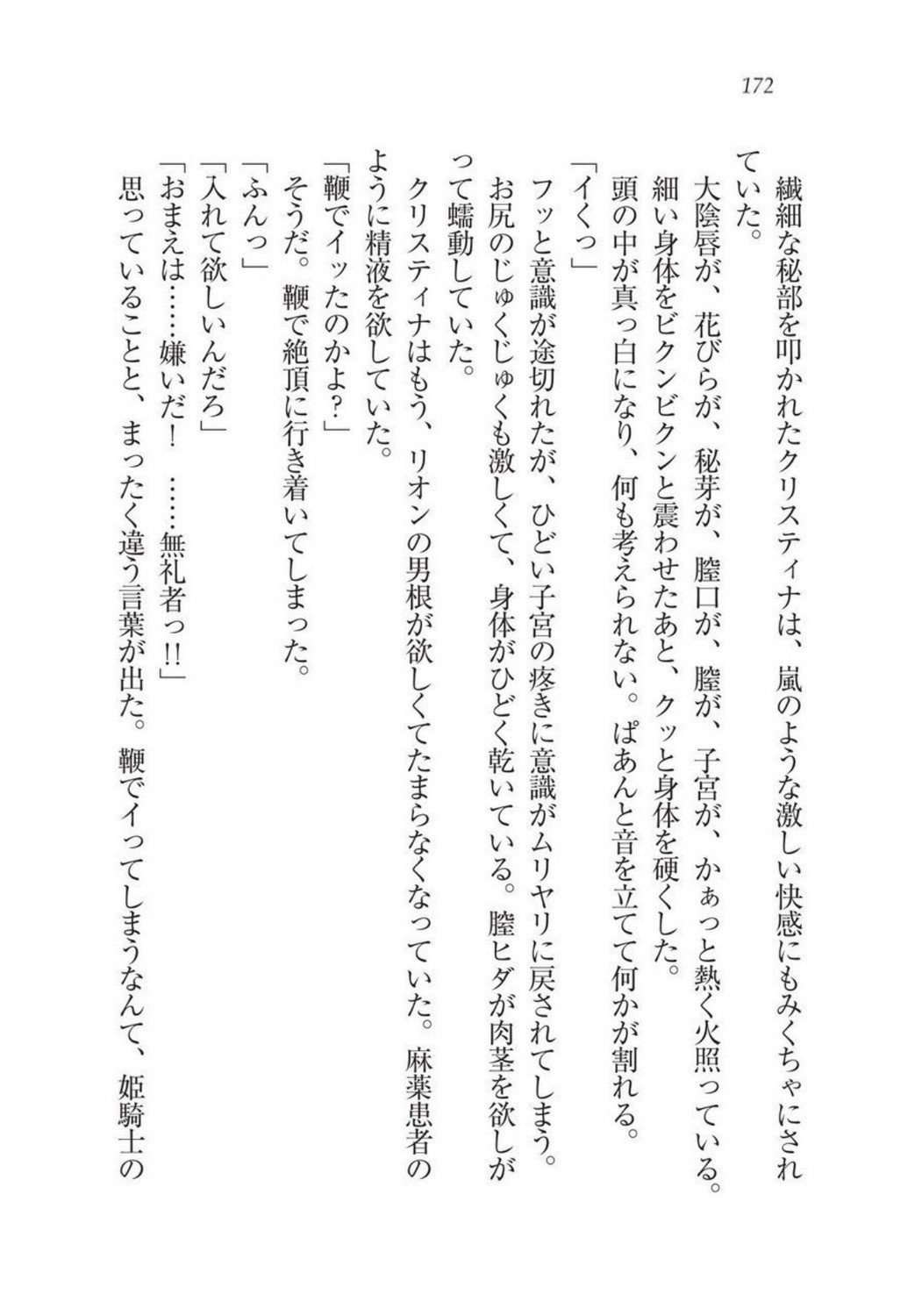 クリスティーナ戦記ほうしの姫岸からコックキョウの少年