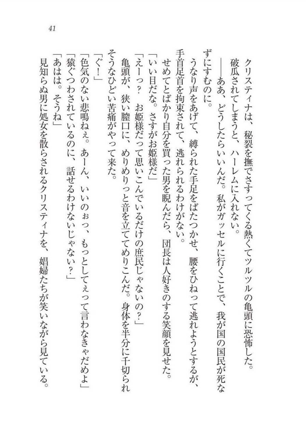 クリスティーナ戦記ほうしの姫岸からコックキョウの少年