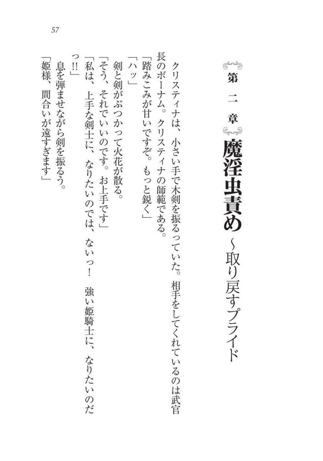 クリスティーナ戦記ほうしの姫岸からコックキョウの少年