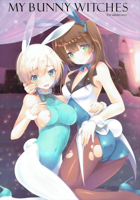 私のバニー魔女 私のバニー魔女