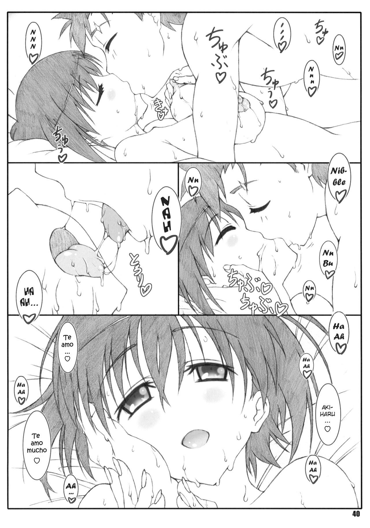 しゅくじょうずかんII