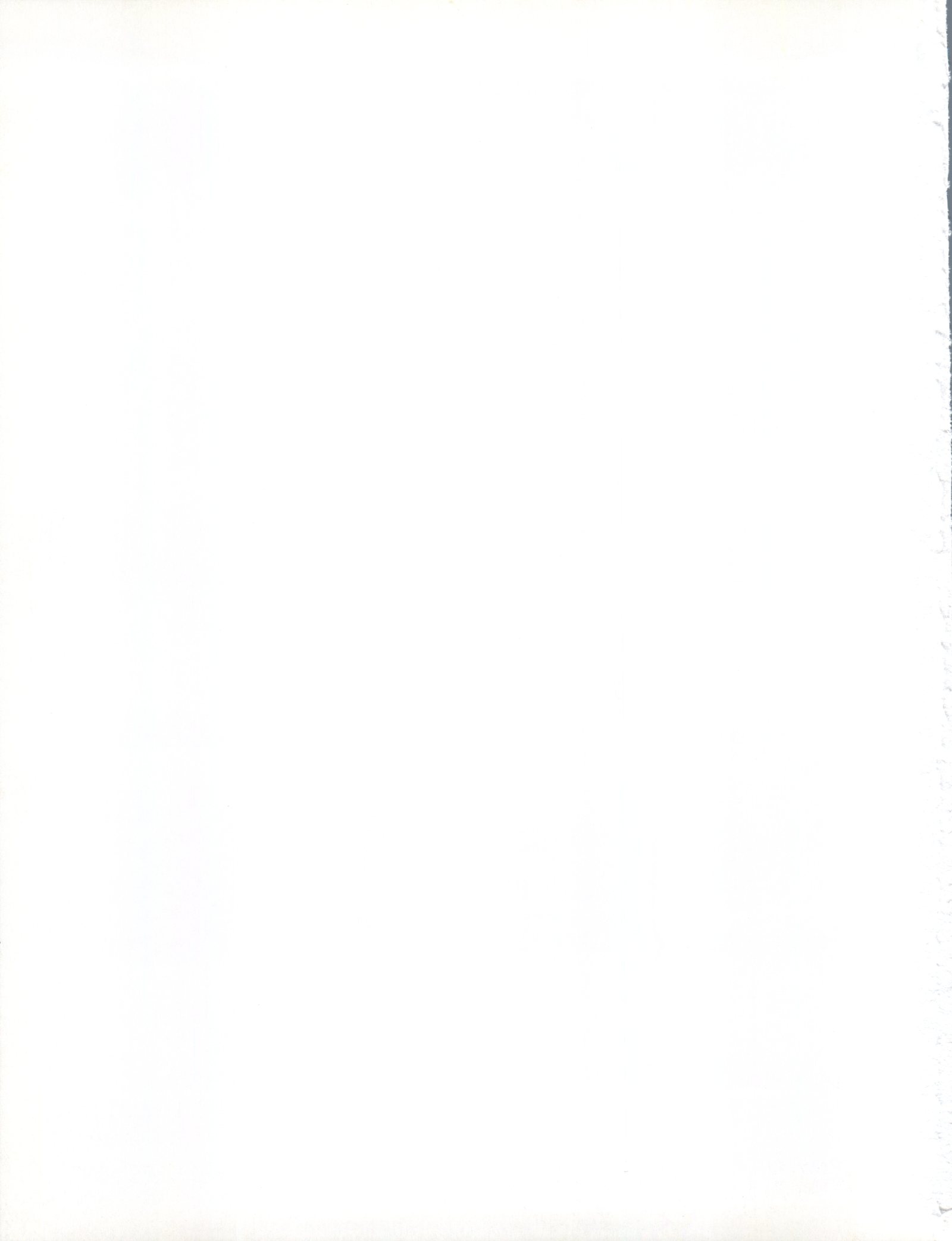 ゼロから始める異世界生活犬のシツケカタ