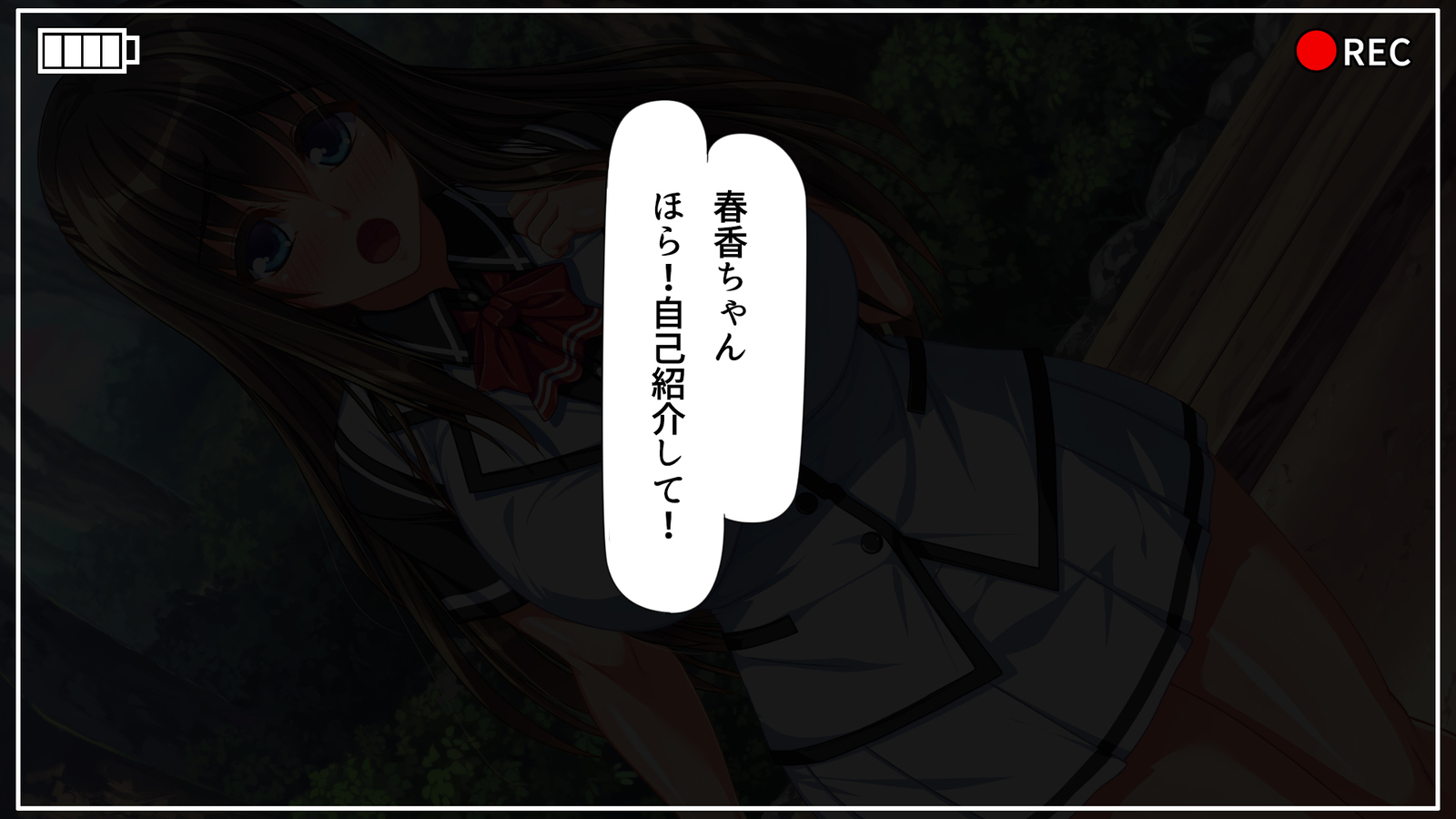 かんぜんにごいのAV島！