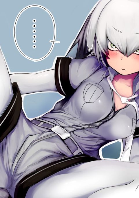 ハシビロコウちゃん ハシビロコウちゃん