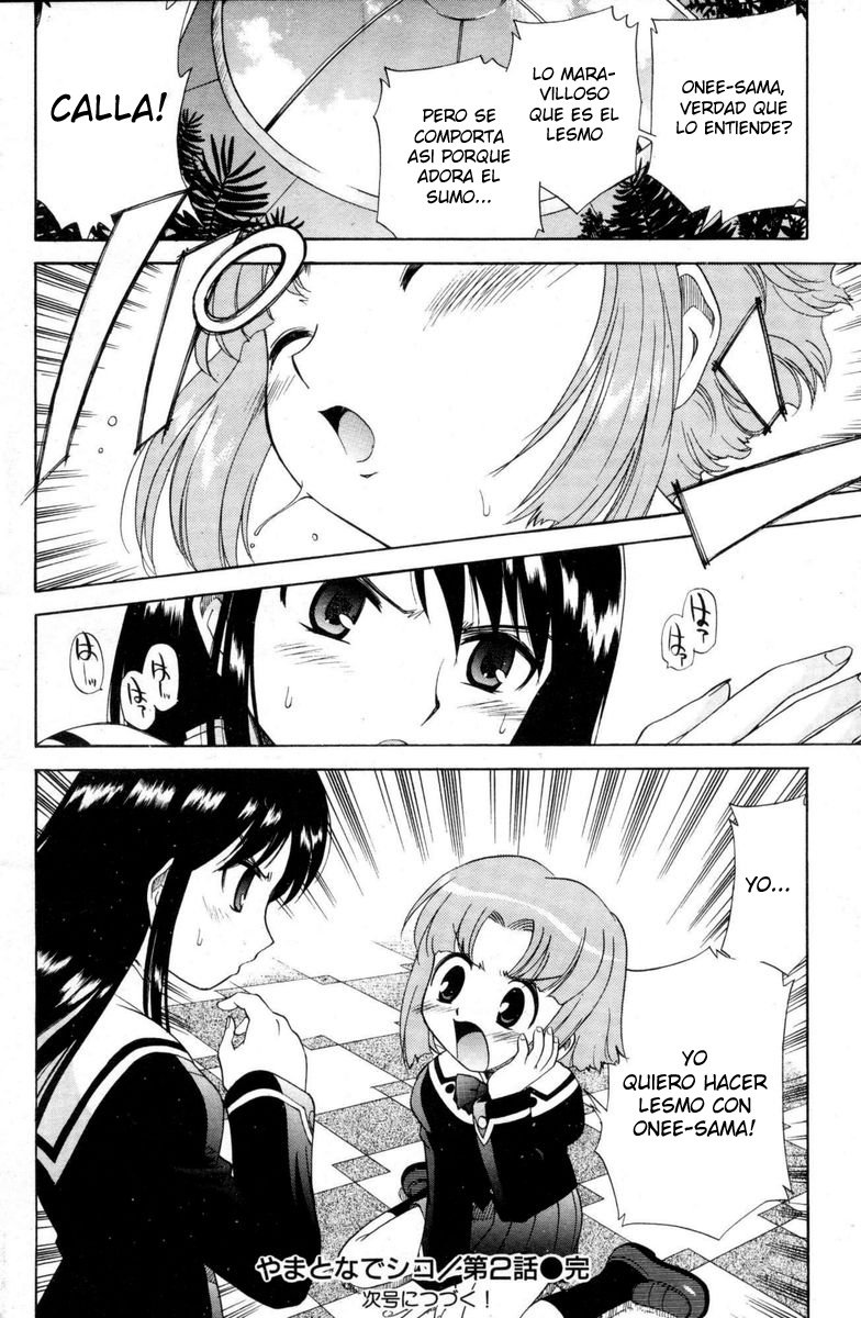 やまとなでしこ