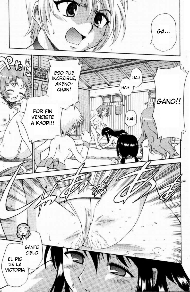 やまとなでしこ