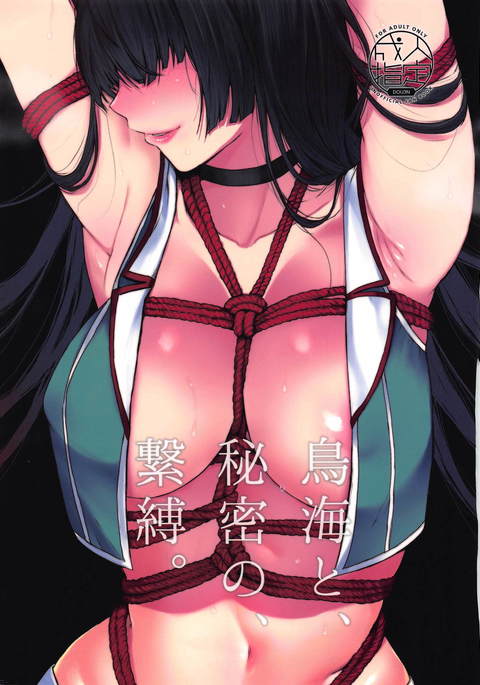 鳥海と繋縛の。 鳥海と繋縛の。