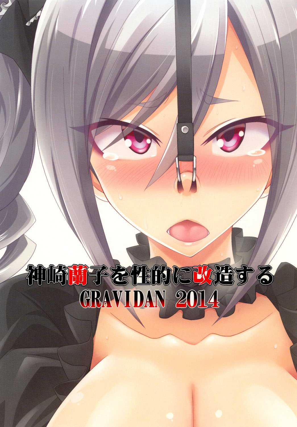 神崎蘭子王聖記に海蔵する