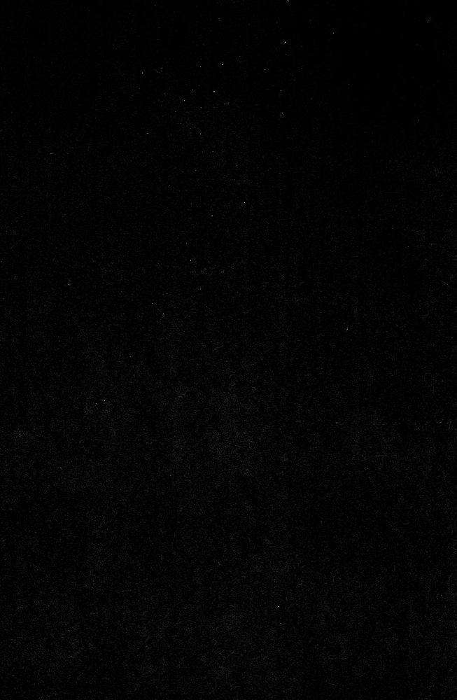 エロスとカツ丼