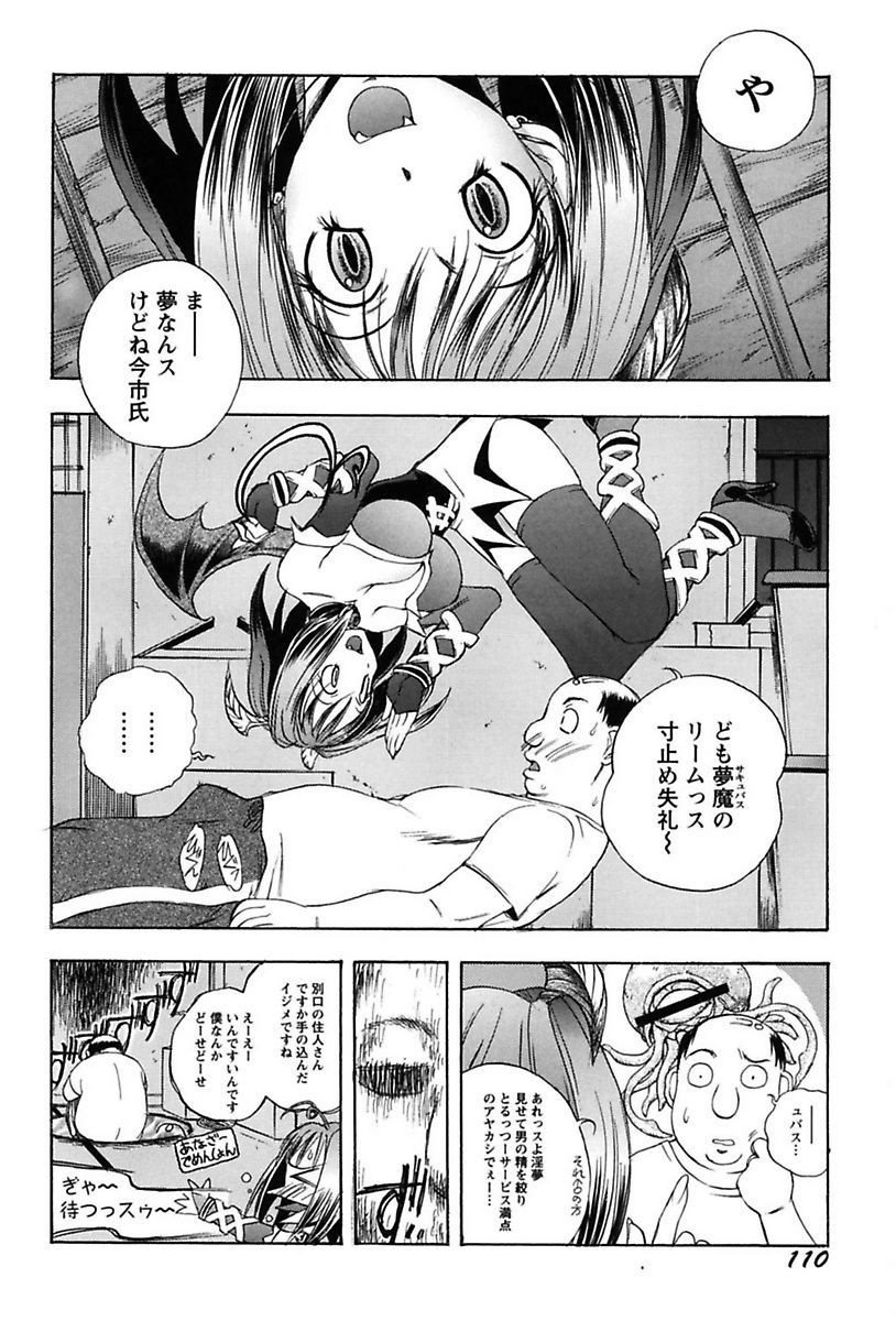 犬井矢戸-ひびきそうえようこそう-