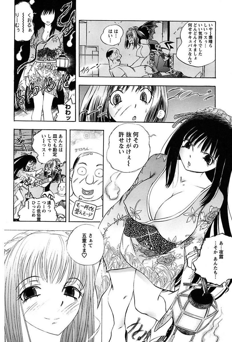 犬井矢戸-ひびきそうえようこそう-