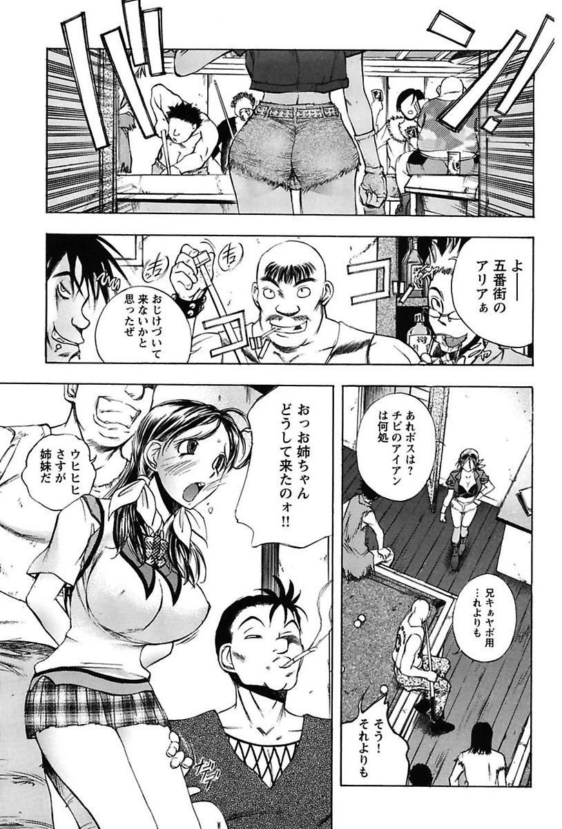犬井矢戸-ひびきそうえようこそう-