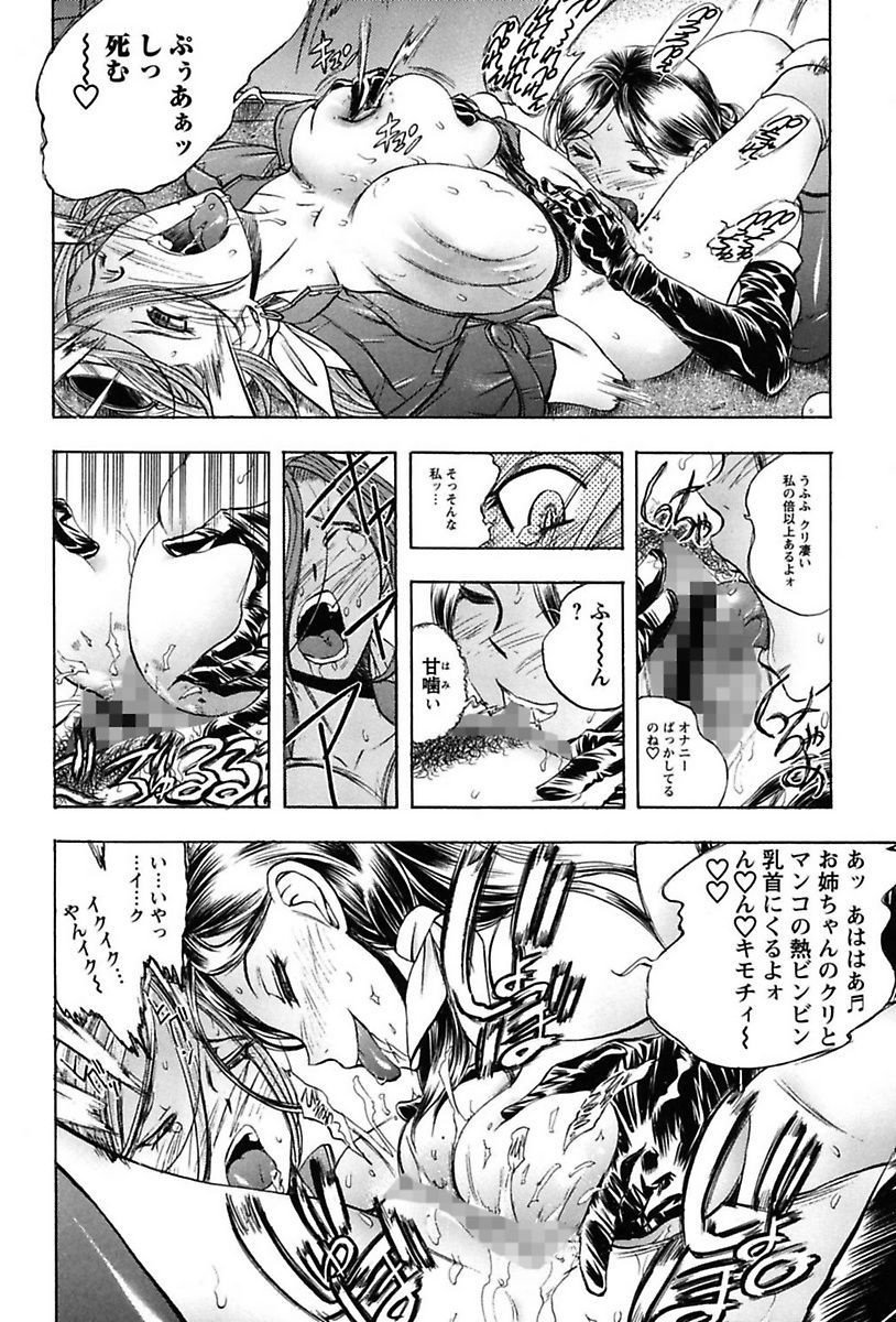 犬井矢戸-ひびきそうえようこそう-