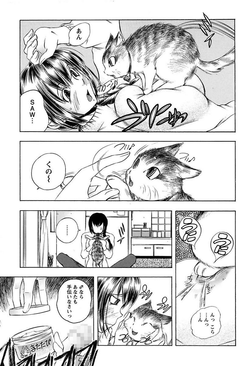 犬井矢戸-ひびきそうえようこそう-