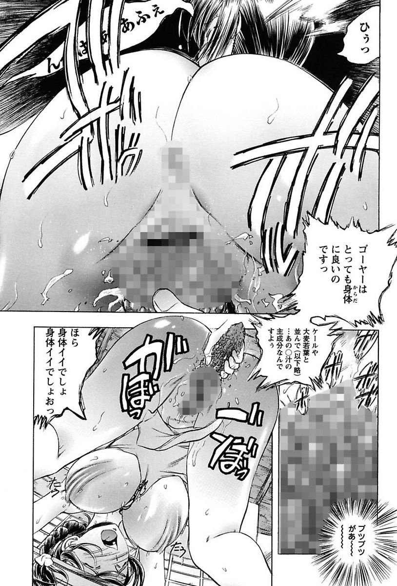 犬井矢戸-ひびきそうえようこそう-