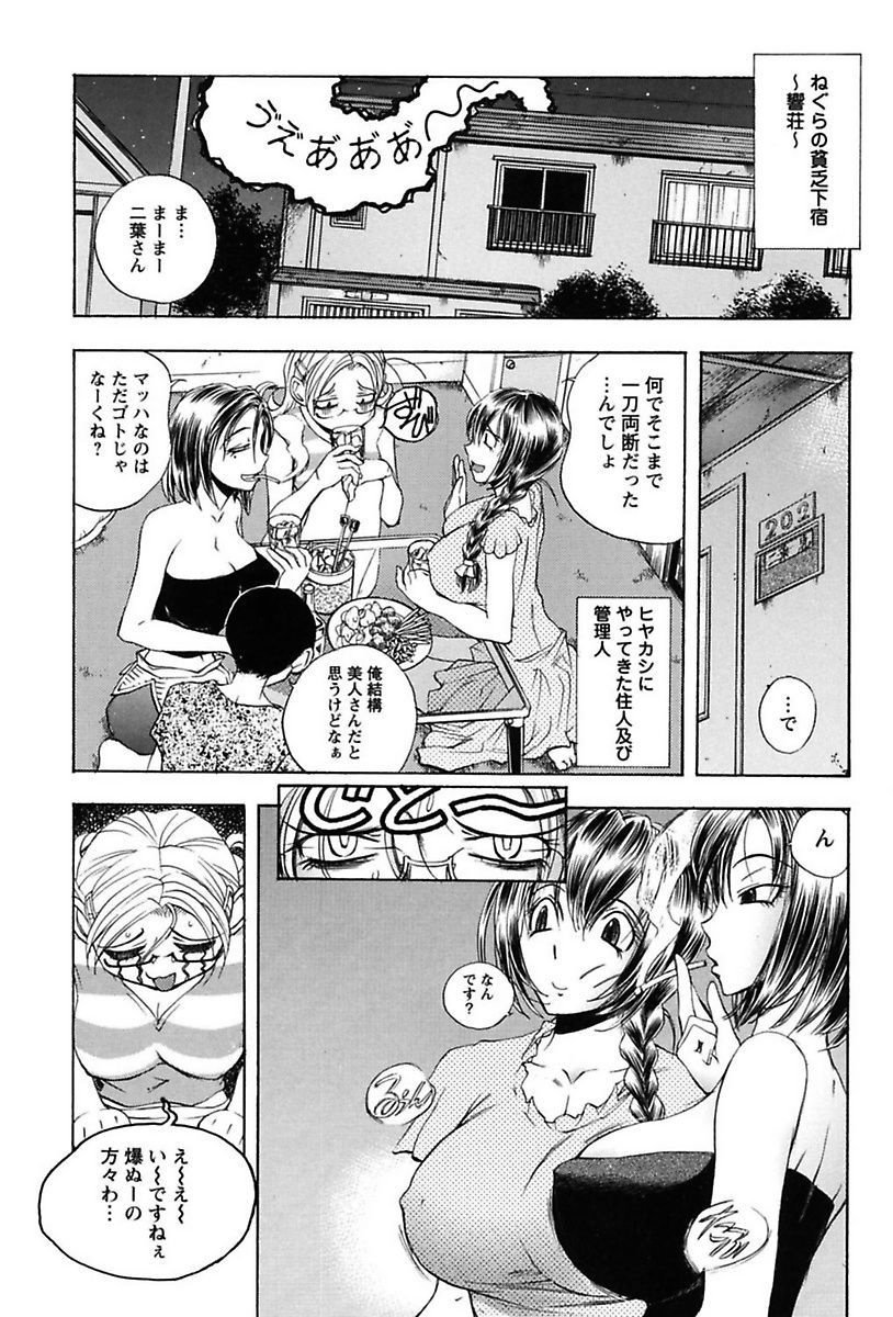 犬井矢戸-ひびきそうえようこそう-