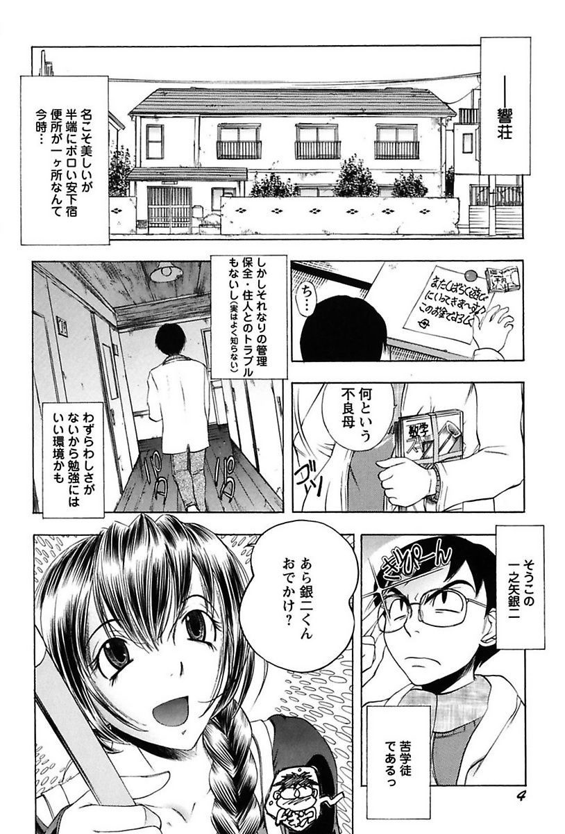 犬井矢戸-ひびきそうえようこそう-