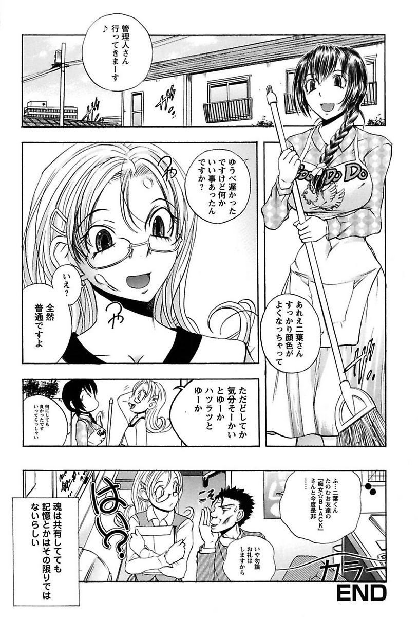犬井矢戸-ひびきそうえようこそう-