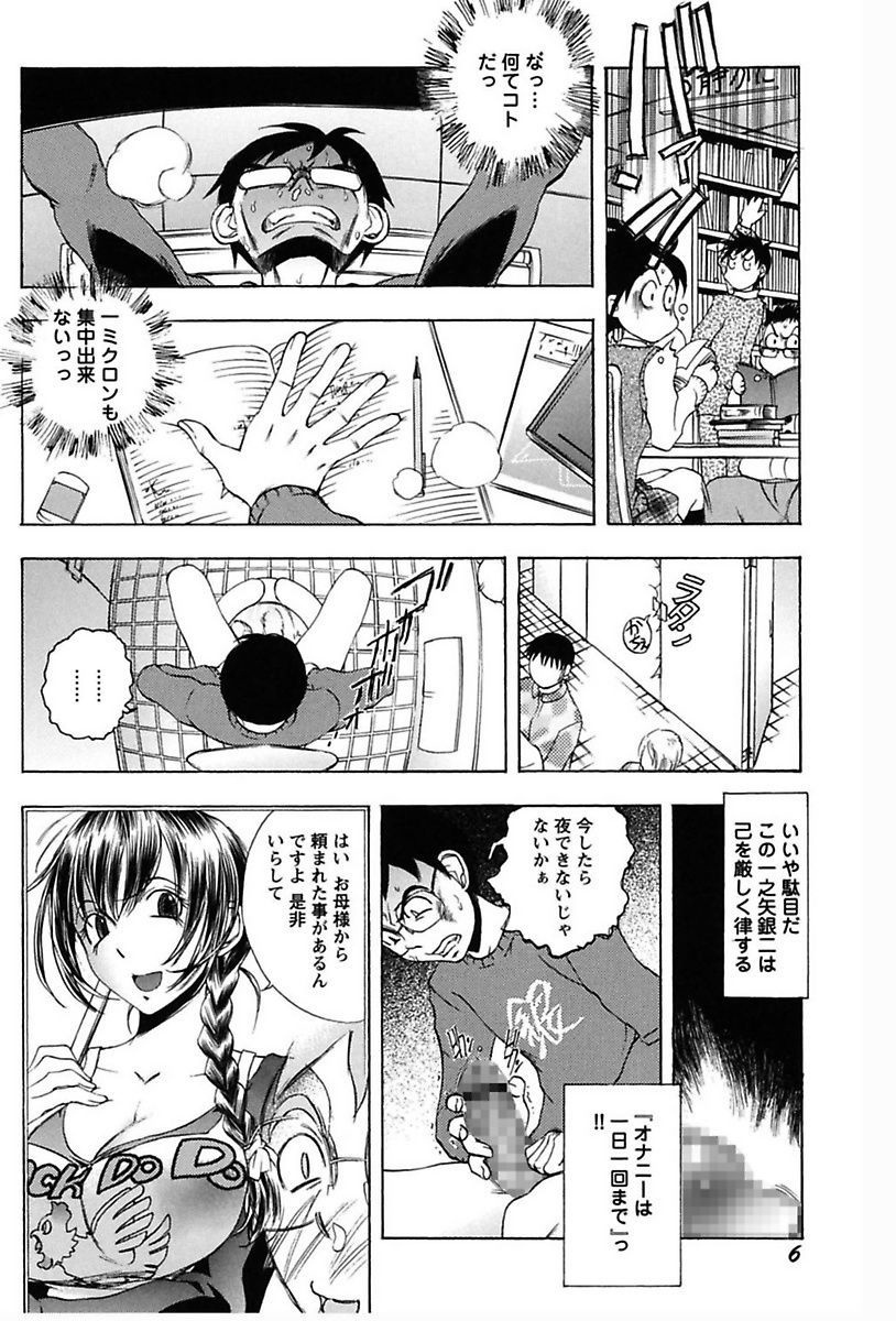 犬井矢戸-ひびきそうえようこそう-
