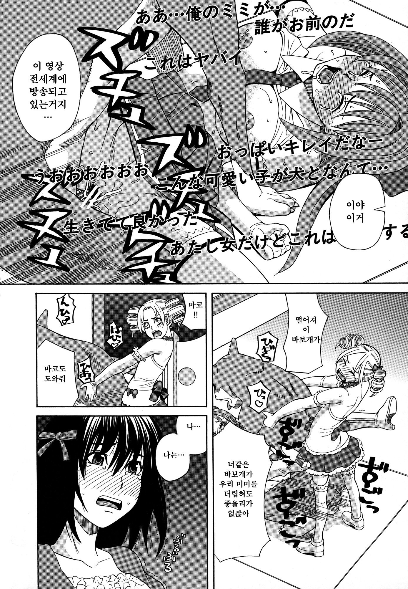 犬のいきざまもてる