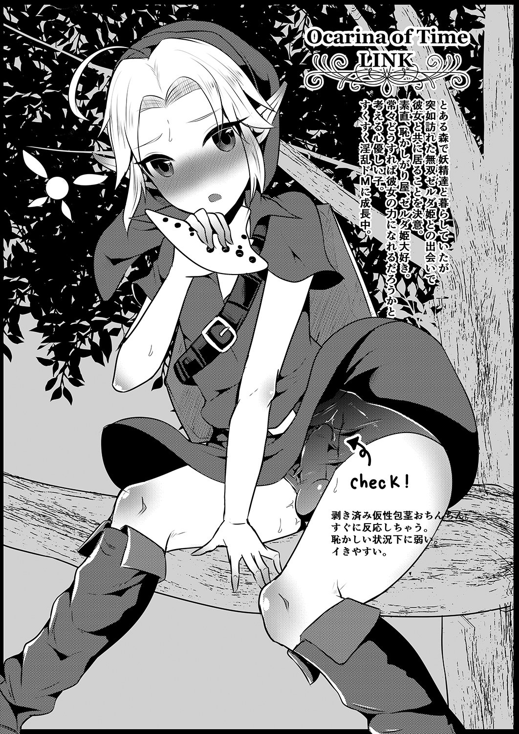 ふたなりゼルダ編集