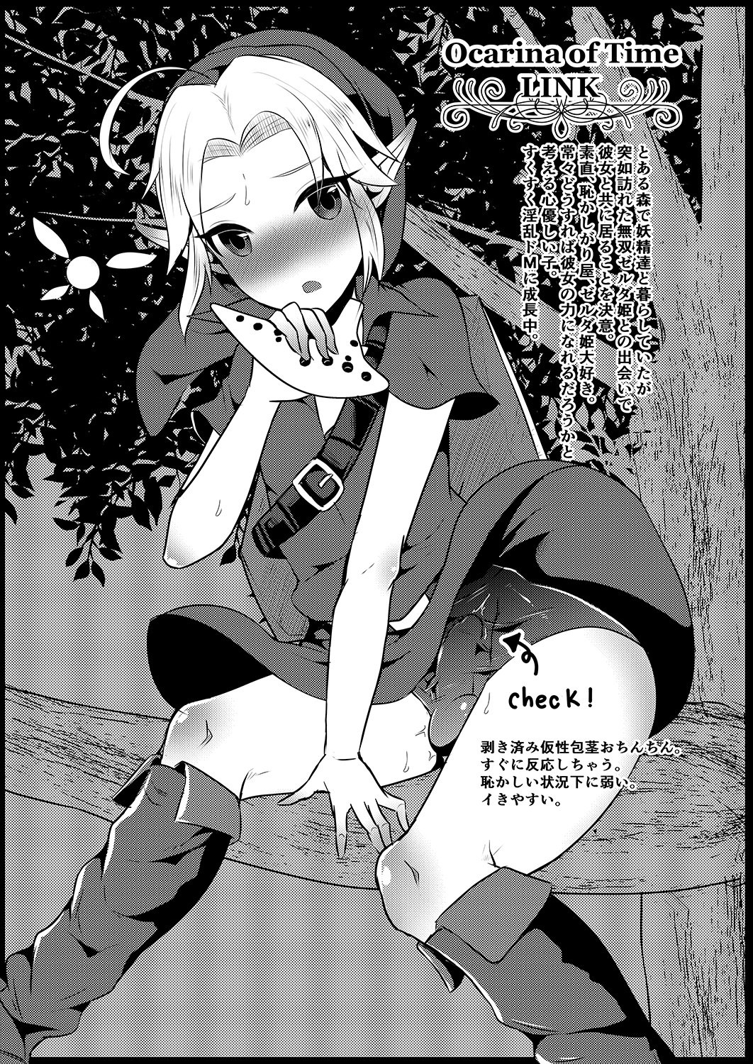 ふたなりゼルダ編集