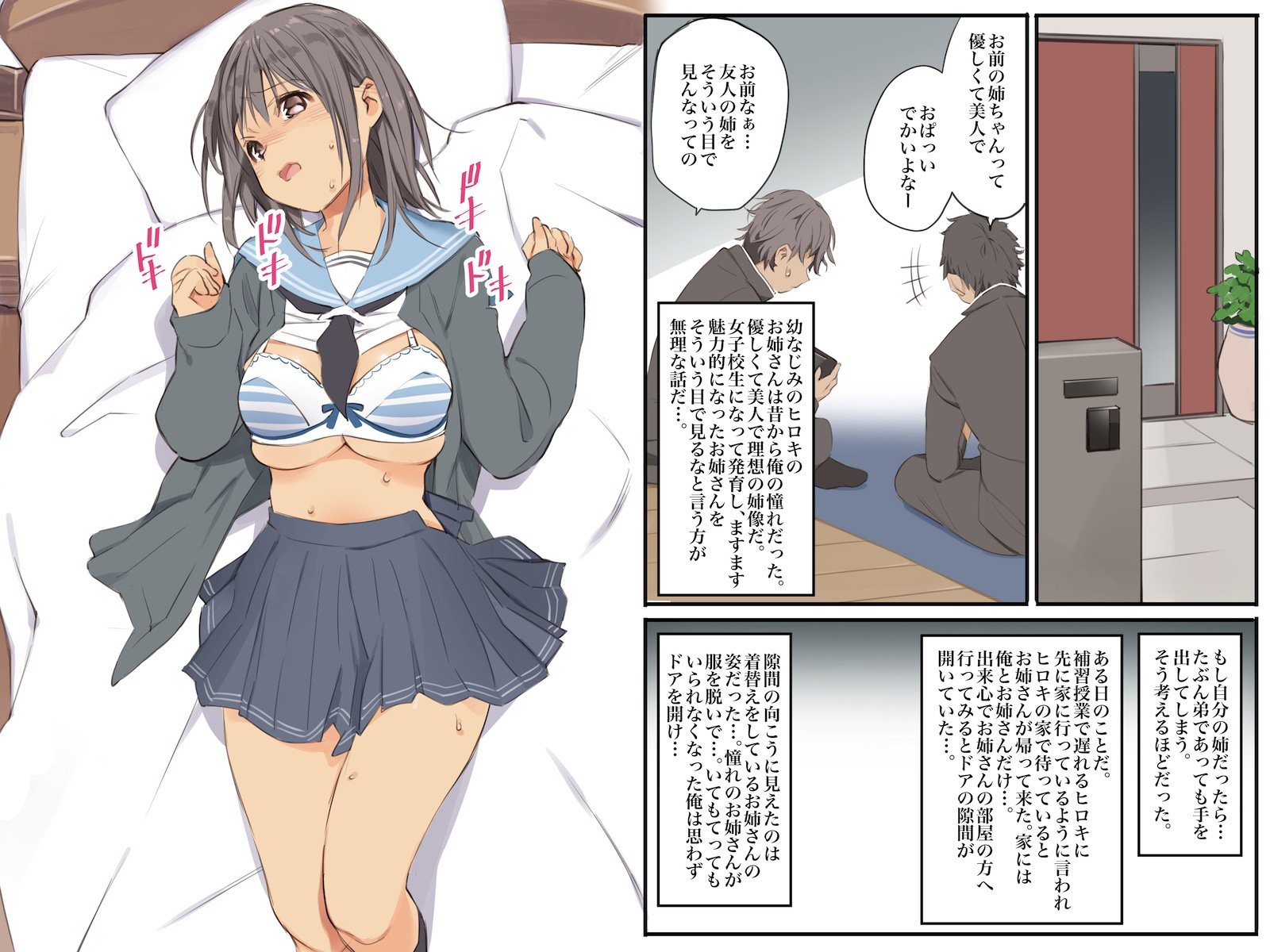 ともだちのねさんをむりやりせふれか