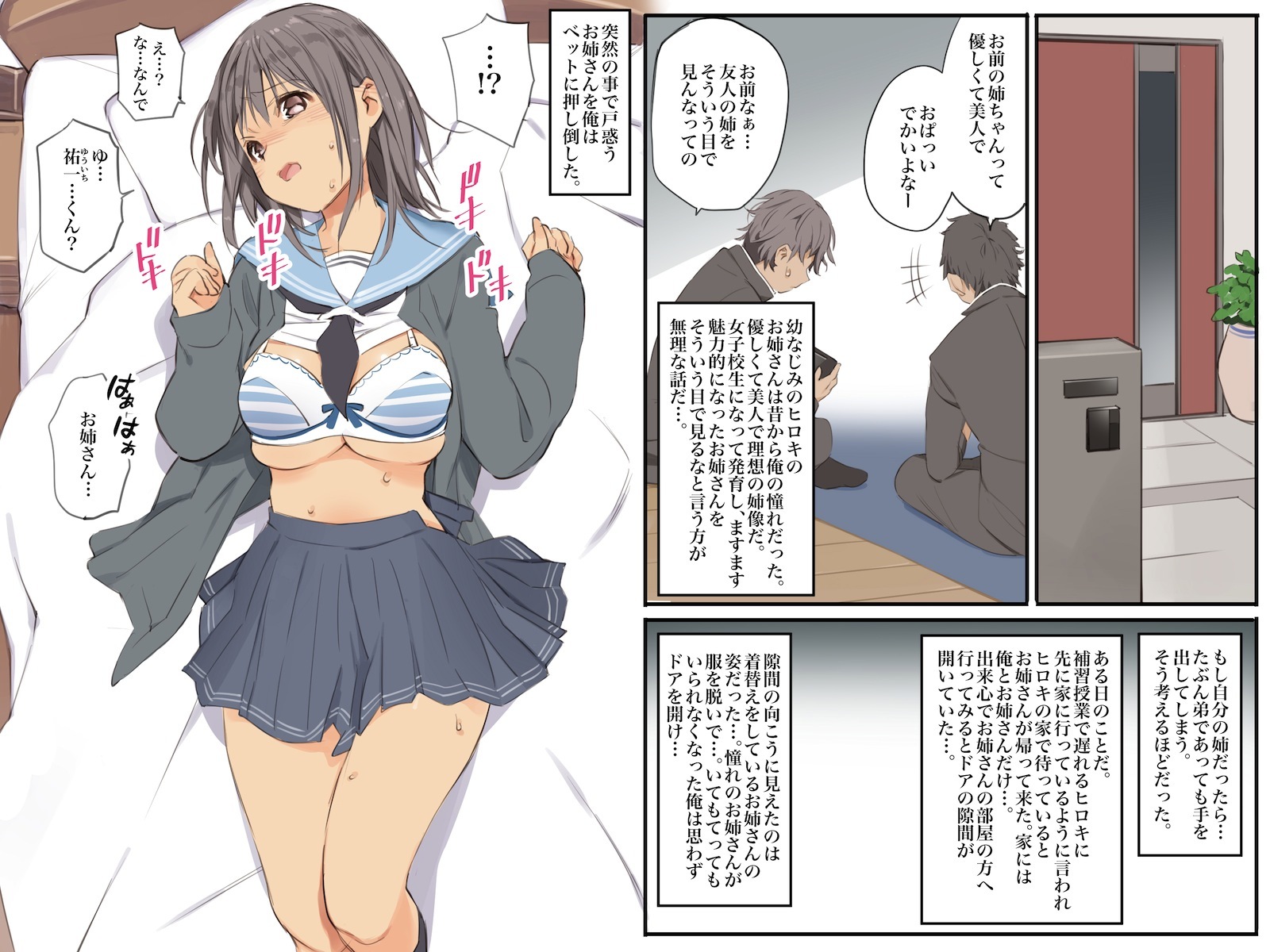 ともだちのねさんをむりやりせふれか