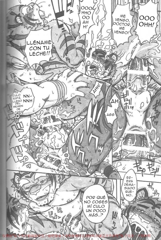 ちょうじゅうがしんビルドタイガー11