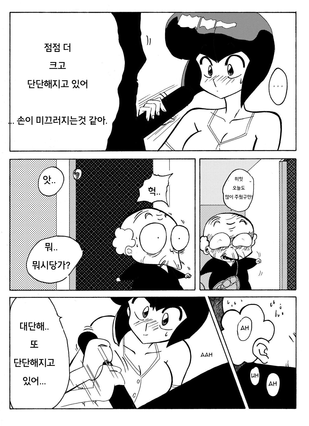 らんまの試み らんまの試み