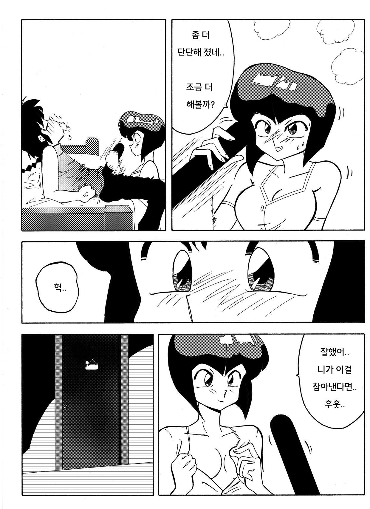 らんまの試み らんまの試み