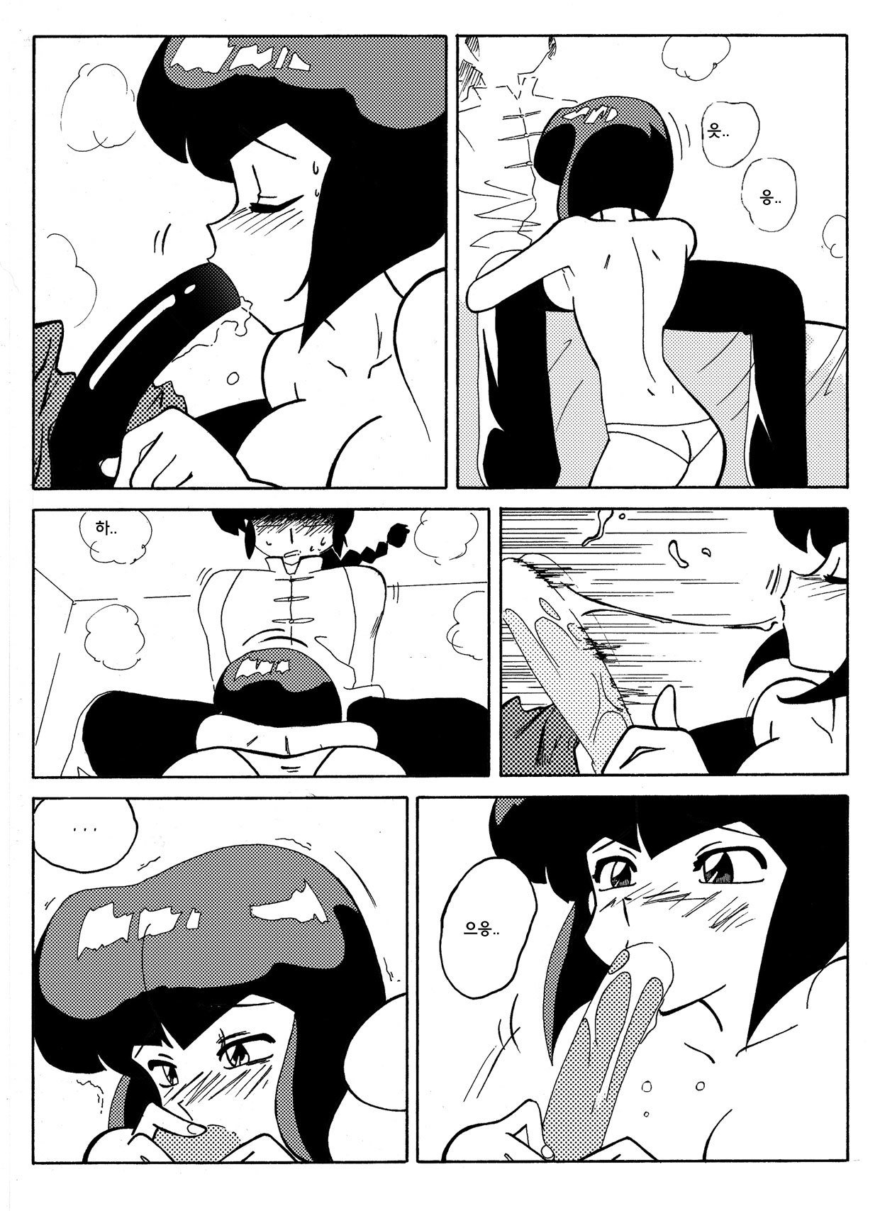 らんまの試み らんまの試み