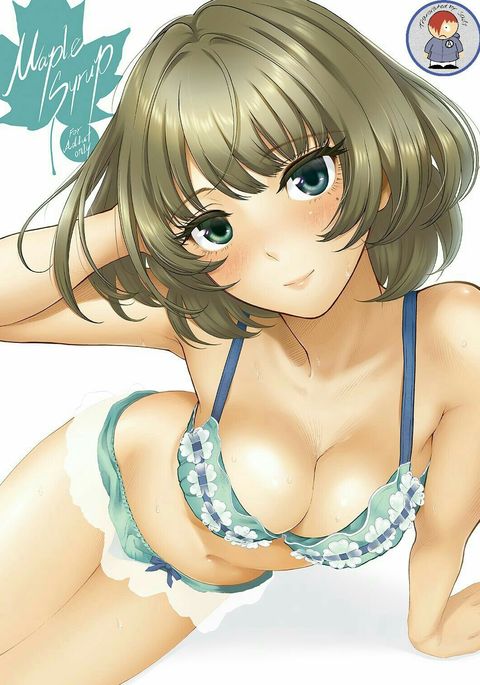 メープルシロップ メープルシロップ